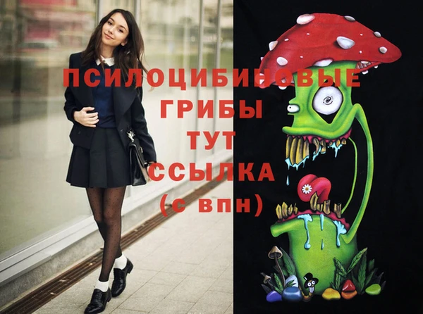 скорость Абаза