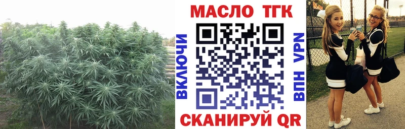 Дистиллят ТГК гашишное масло  как найти   Серафимович 